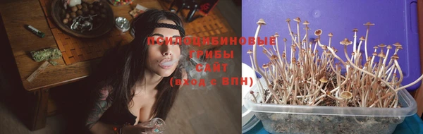 МДМА Горнозаводск
