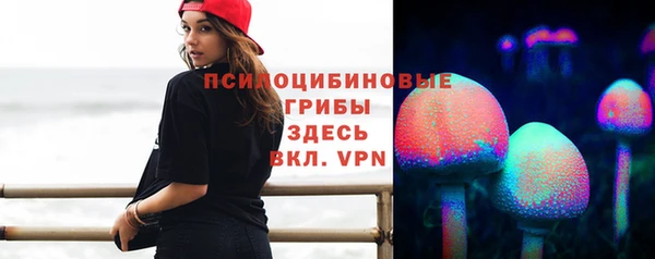 spice Горняк