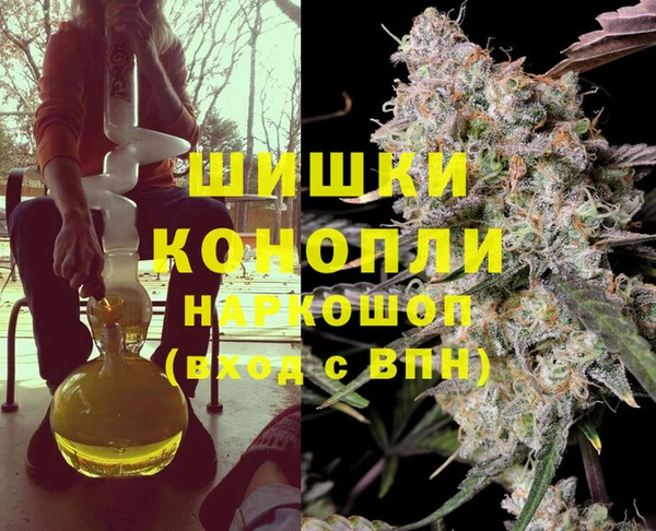 2c-b Горно-Алтайск