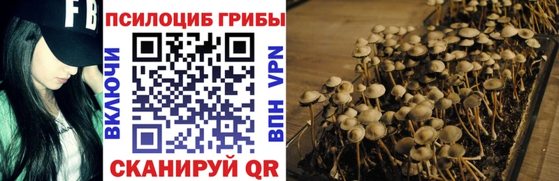 Псилоцибиновые грибы мицелий  Купить где  Горняк 